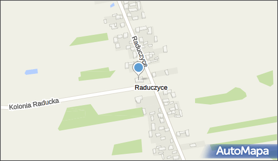 OSP w Raduczycach, Raduczyce 55, Raduczyce 98-320 - Przedsiębiorstwo, Firma, NIP: 8321842758