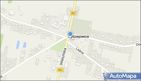 OSP w Sędziejowicach, Łódzka 2, Sędziejowice 98-160 - Przedsiębiorstwo, Firma, numer telefonu, NIP: 8311507998