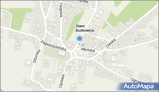 OSP w Starych Budkowicach, Wołczyńska 2, Stare Budkowice 46-030 - Przedsiębiorstwo, Firma, NIP: 9910159162