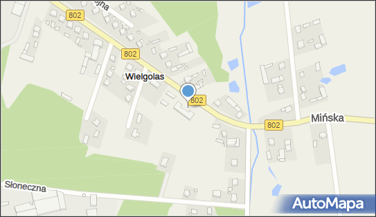 OSP w Wielgolesie, ul. Mińska 15, Wielgolas 05-334 - Przedsiębiorstwo, Firma