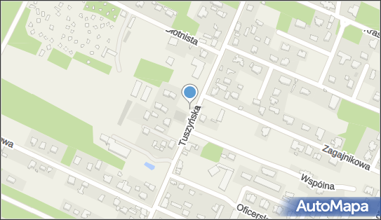 OSP w Wiśniowej Górze, ul. Tuszyńska 101, Wiśniowa Góra 95-020 - Przedsiębiorstwo, Firma, numer telefonu, NIP: 7282334430