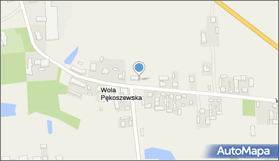 OSP w Woli Pękoszewskiej, Wola Pękoszewska 72A, Wola Pękoszewska 96-111 - Przedsiębiorstwo, Firma, numer telefonu, NIP: 8361737312