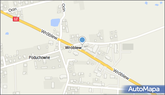 OSP we Wróblewie, Wróblew 16, Wróblew 98-285 - Przedsiębiorstwo, Firma, NIP: 8271819271