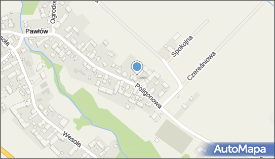 Osuchowski Zbigniew, Poligonowa 29a, Pawłów 49-300 - Przedsiębiorstwo, Firma, NIP: 7471167430