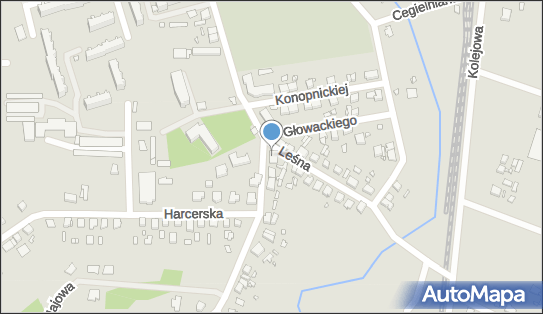 Otis Wojciech Pławiński, ul. Kazimierza Pułaskiego 1, Dębno 74-400 - Przedsiębiorstwo, Firma, NIP: 5971682631