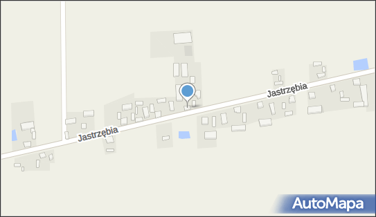 P.H.Nikolex Bis Katarzyna Grzelak, Jastrzębia 24, Jastrzębia 99-322 - Przedsiębiorstwo, Firma, NIP: 8841039803
