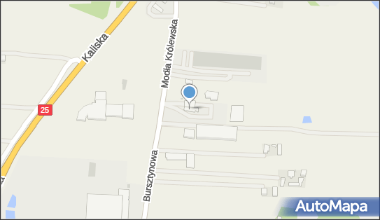 P.H.U.Auto-Mich Michalina Grąziel, Modła Królewska 3c 62-571 - Przedsiębiorstwo, Firma, NIP: 6652622854