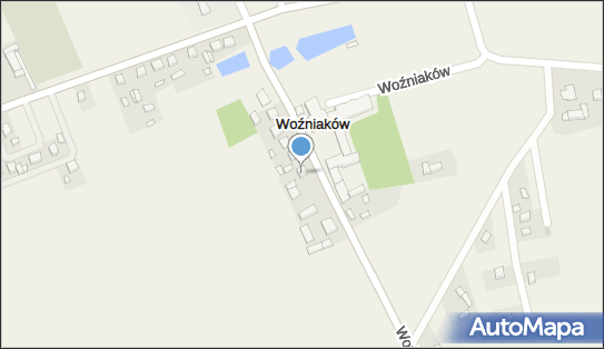 P.H.U.Automoto, Woźniaków 49, Woźniaków 99-300 - Przedsiębiorstwo, Firma, NIP: 7752304982