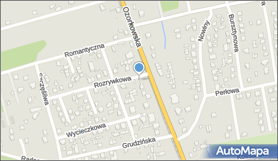 P H U Delfin, ul. Rozrywkowa 1, Zgierz 95-100 - Przedsiębiorstwo, Firma, NIP: 7272369800