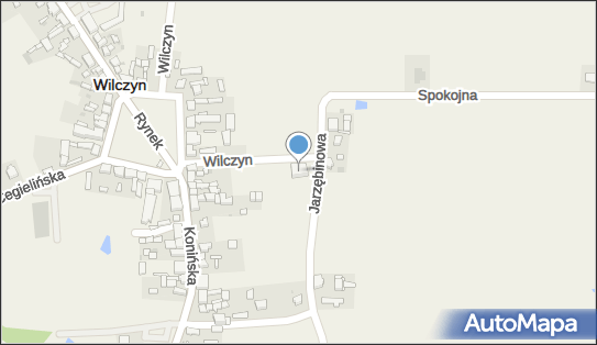 P.H.U.Malibu Łukasz Jąkalski, Rynek 1b, Wilczyn 62-550 - Przedsiębiorstwo, Firma, NIP: 6652524778