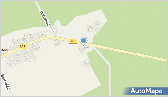 P.H.U Solid-Bud, Borowiec 37, Borowiec 67-112 - Przedsiębiorstwo, Firma, NIP: 9252104761