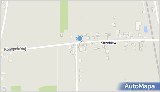 P.H.U.Temaz-Logistic Teresa Koprowska, ul. Marii Konopnickiej 52 95-035 - Przedsiębiorstwo, Firma, NIP: 7321443437