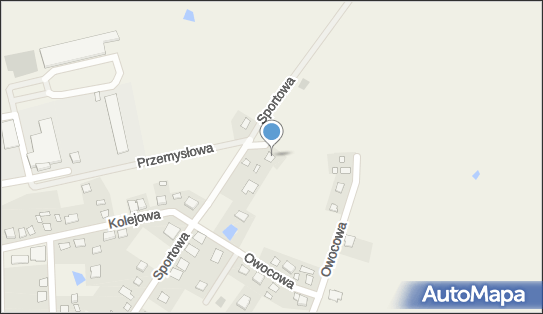 5541106250, P H U Vires Przemysław Gutowski 