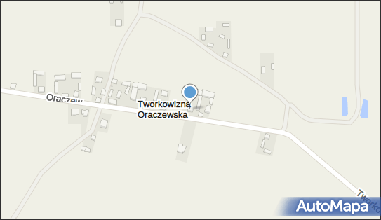 P.H.U.Weronika Borowiak, Tworkowizna Oraczewska 3 98-285 - Przedsiębiorstwo, Firma, NIP: 9970114938