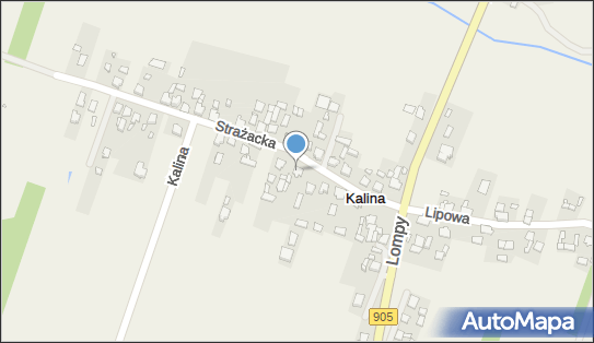 P P H U Dekor, Strażacka 11, Kalina 42-284 - Przedsiębiorstwo, Firma, NIP: 5751224872