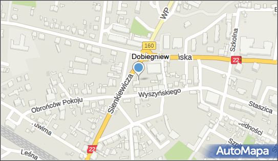 P P H U Koala, ul. Sienkiewicza 1, Dobiegniew 66-520 - Przedsiębiorstwo, Firma, NIP: 5990018035