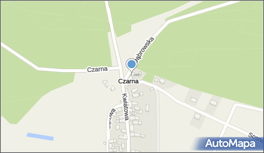 P.P.U.H Rafał Bocoń, Czarna 1, Czarna 66-003 - Przedsiębiorstwo, Firma, NIP: 9730184684