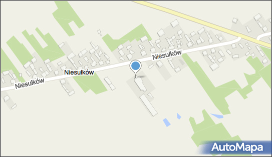 P & S Ireneusz Piestrzeniewicz Wojciech Siermiński, Niesułków 95-010 - Przedsiębiorstwo, Firma, NIP: 7331320110
