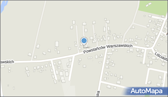 P U H Alicja i Bogusław Dudek, ul. Powstańców Warszawskich 130 A 42-680 - Przedsiębiorstwo, Firma, NIP: 6452503866