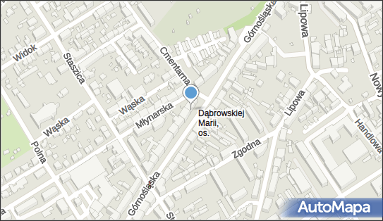 P.w.Agnieszka Skurtys, Górnośląska 13, Kalisz 62-800 - Przedsiębiorstwo, Firma, NIP: 6180027907