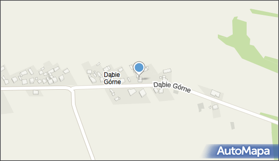 P w Damtrans, Dąbie 25 A, Dąbie 42-504 - Przedsiębiorstwo, Firma, NIP: 6252133583