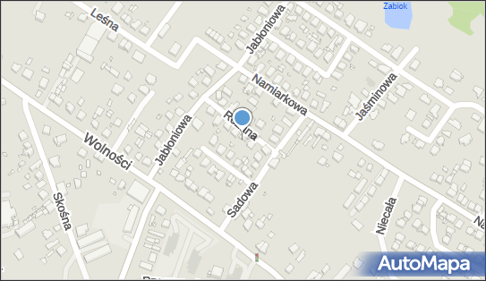 P.w.Glopex Marcin Główka, Różana 3, Będzin 42-500 - Przedsiębiorstwo, Firma, NIP: 6252084502