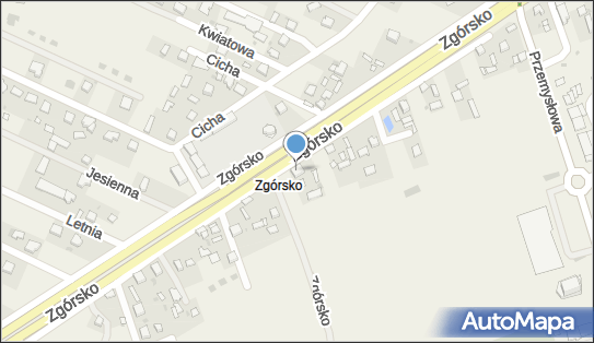 Palais Przemysław Pyk Marek Stefański, Zgórsko 45, Zgórsko 26-052 - Przedsiębiorstwo, Firma, numer telefonu, NIP: 9591929725