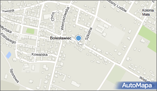 Paluch Marcin, Wieluńska 6, Bolesławiec 98-430 - Przedsiębiorstwo, Firma, NIP: 6191216204