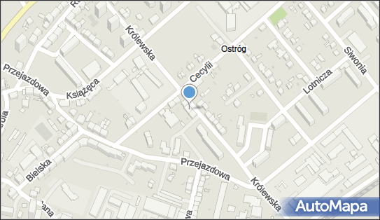 Pama-Projekt Maciej Rogowski, Królewska 33, Racibórz 47-400 - Przedsiębiorstwo, Firma, NIP: 6391852459