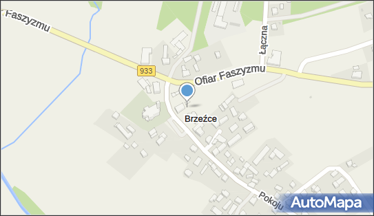 Parafia Rzym.-Kat.pw.Matki Boskiej Szkaplerznej, ul. Pokoju 1 43-200 - Przedsiębiorstwo, Firma, numer telefonu, NIP: 6381758109