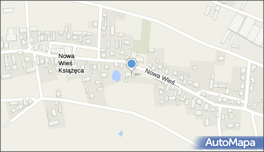 Parafia Rzym.-Kat.pw.Świętej Trójcy, Nowa Wieś Książęca 81 63-640 - Przedsiębiorstwo, Firma, numer telefonu, NIP: 6191937725