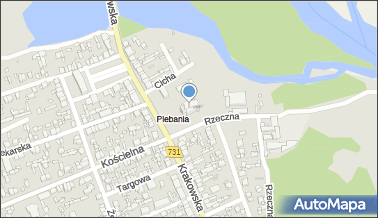 Parafia Rzymsko-Katolicka P.w.Świętej Trójcy, ul. Krakowska 25 26-800 - Przedsiębiorstwo, Firma, NIP: 7981143374