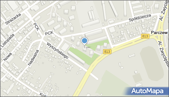 Parczewskie Stowarzyszenie Twórców i Animatorów Kultury w Parczewie 21-200 - Przedsiębiorstwo, Firma, numer telefonu, NIP: 5391401064