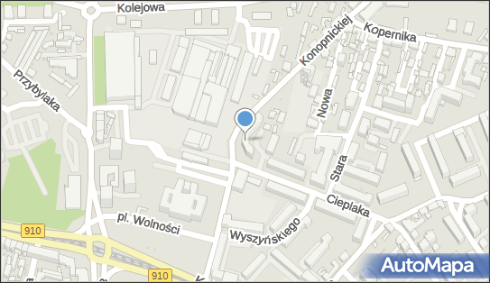 Parking Strzeżony przy D H Real, ul. Konopnickiej 30 41-300 - Przedsiębiorstwo, Firma, NIP: 6292050053