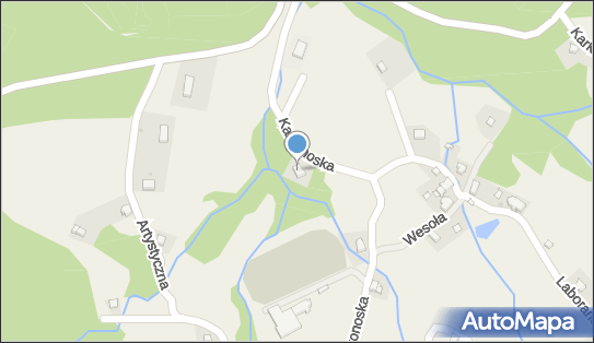 Partner Sebastian Cirut, Borowice 50, Borowice 58-564 - Przedsiębiorstwo, Firma, NIP: 6111792711