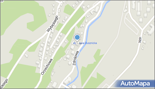 Pasisz J.Ubezp., Zdrojowa 20, Duszniki-Zdrój 57-340 - Przedsiębiorstwo, Firma, NIP: 8831125843