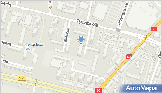 Pasja, Dąbrówki 4, Płock 09-400 - Przedsiębiorstwo, Firma, NIP: 9710275840