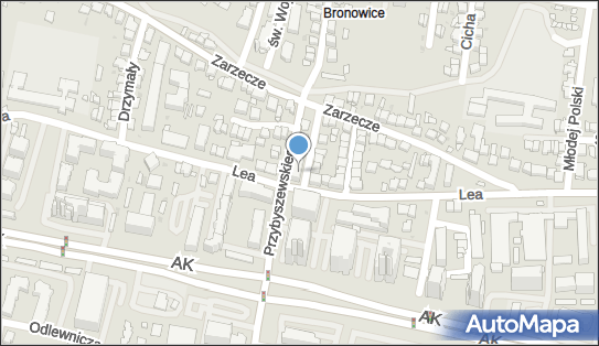 Pasy Samek Olaf Samek Adam, ul. Stanisława Kunickiego 5, Kraków 30-134 - Przedsiębiorstwo, Firma, numer telefonu, NIP: 5512471478