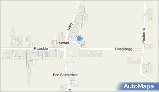 Paszta Krzysztof Firma Usługowa, Dziewki 53, Dziewki 42-470 - Przedsiębiorstwo, Firma, NIP: 5771000130