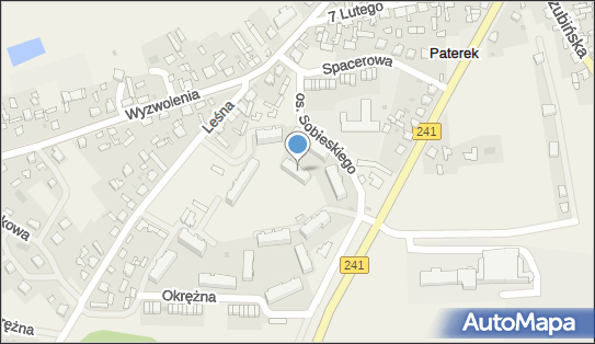 Patrol - Graffiti Patryk Meler, os. Jana Sobieskiego 2, Paterek 89-100 - Przedsiębiorstwo, Firma, NIP: 5581682669