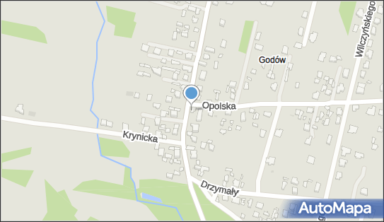 Patrycja Łucka, ul. Wiejska 159, Radom 26-600 - Przedsiębiorstwo, Firma, NIP: 7962841189