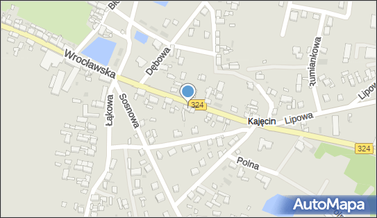 6931849114, NMT Patryk Bułyszko 