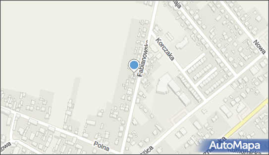 Patryk Pawlak Firma Wielobranżowa Patryk Pawlak, Fabianowska 35 62-052 - Przedsiębiorstwo, Firma, NIP: 9720914394