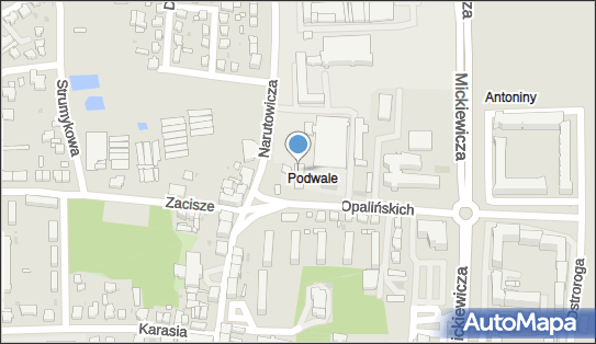 Paula Paulina Konieczna, Opalińskich 36, Leszno 64-100 - Przedsiębiorstwo, Firma, NIP: 9251786988