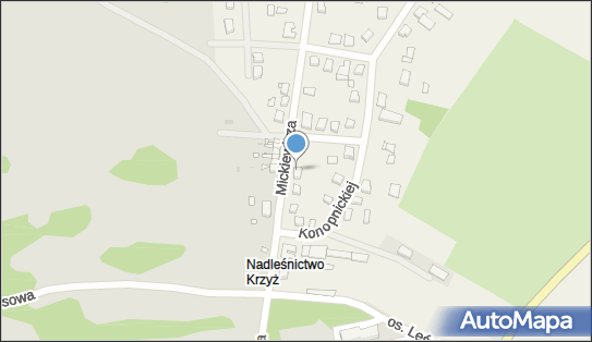 Paulina Białasik, ul. Adama Mickiewicza 8, Krzyż Wielkopolski 64-761 - Przedsiębiorstwo, Firma, NIP: 7872043679