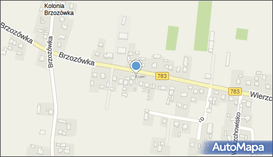 Paulina Seweryn, Wierzchowisko 58, Wierzchowisko 32-340 - Przedsiębiorstwo, Firma, NIP: 6372101982