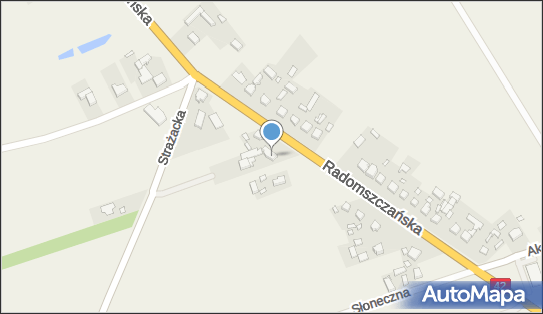 Paweł Bojur Mechanika Pojazdowa, Radomszczańska 25, Makowiska 98-330 - Przedsiębiorstwo, Firma, NIP: 5741244086