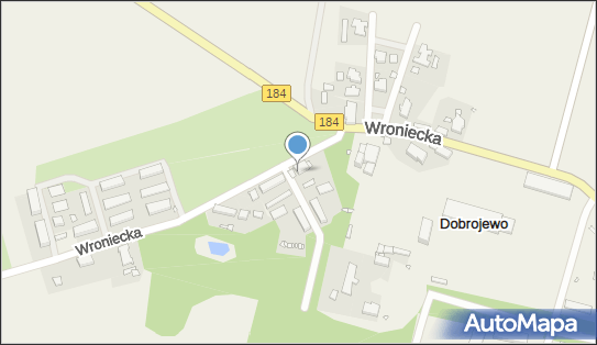 Paweł Czaja Firma Usługowo Handlowa Iks - Trans, ul. Wroniecka 28 64-560 - Przedsiębiorstwo, Firma, NIP: 7871261552