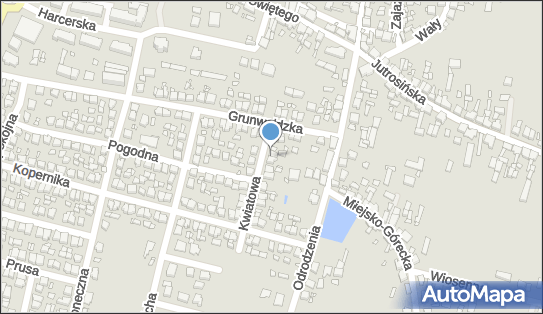 Paweł Gubański Firma Handlowa, Kwiatowa 1, Krobia 63-840 - Przedsiębiorstwo, Firma, NIP: 6961049499