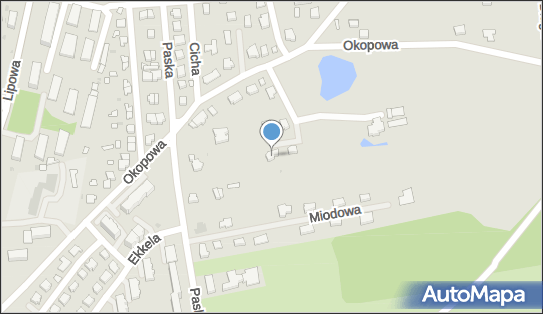 Paweł Mikutel, Okopowa 20, Sulęcin 69-200 - Przedsiębiorstwo, Firma, NIP: 4290041876